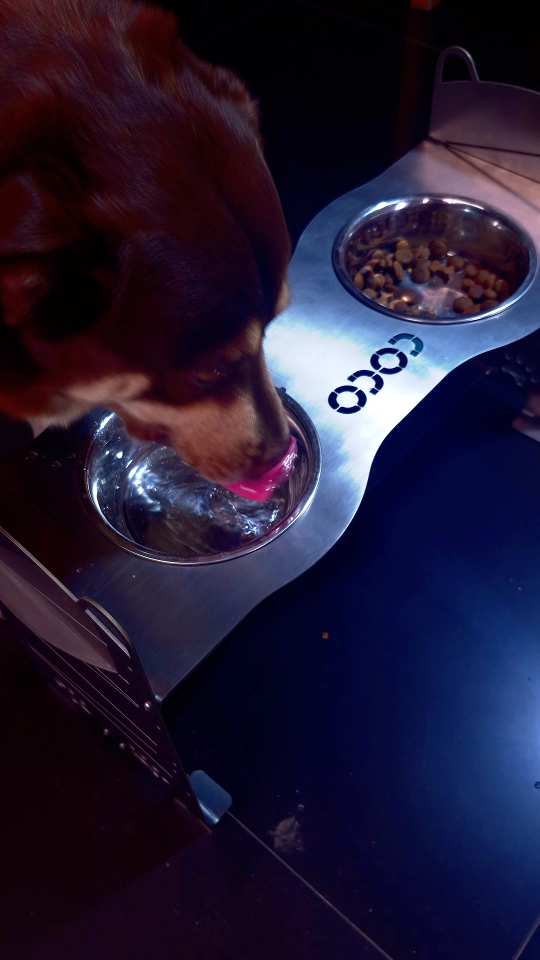 Producto en ambiente real (Video 2)